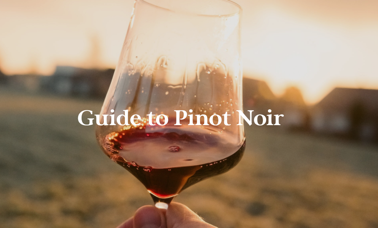 Guide To Pinot Noir – Tohu Wines