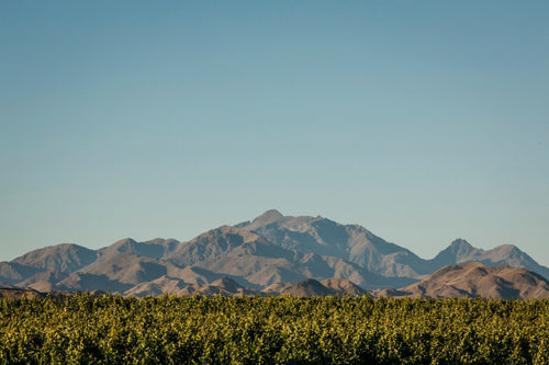 The unique terroir of the Awatere Valley for Sauvignon Blanc