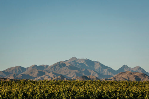 Discover the Unique Terroir of Awatere Valley: The Heart of Our Sauvignon Blanc