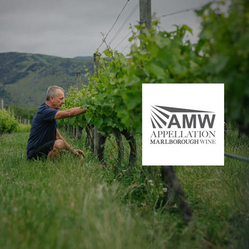Why Tohu Wines joined Appellation Marlborough