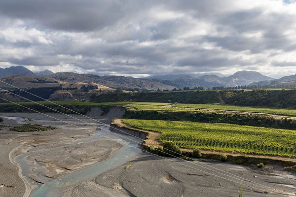 Marlborough and Wine: A tale of influence