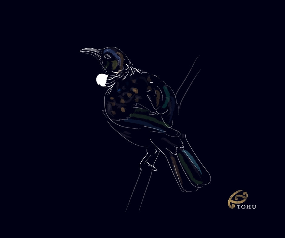 Birds of Whenua Matua