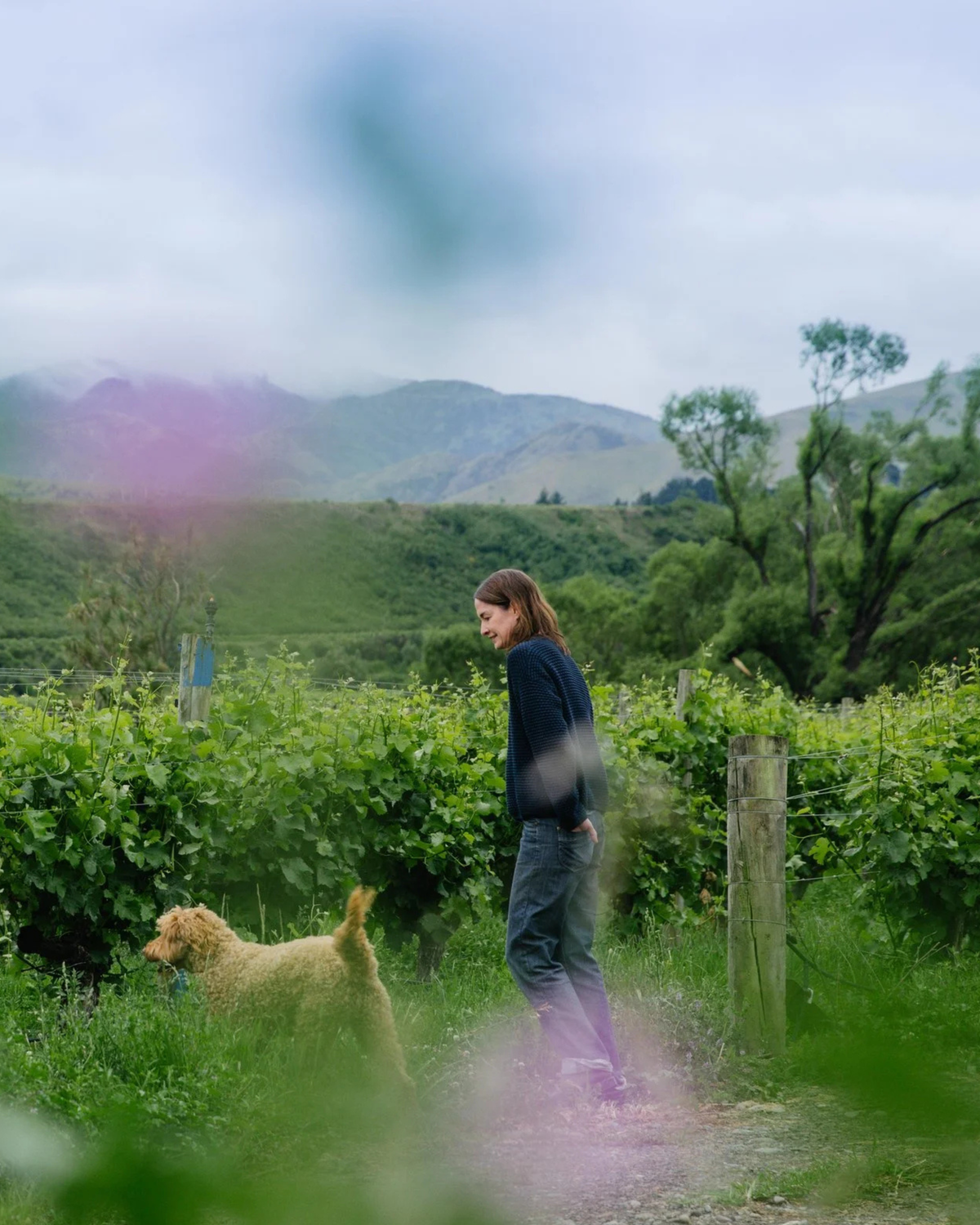 “It’s a privilege to make wine from Whenua Matua. It means ‘significant place...