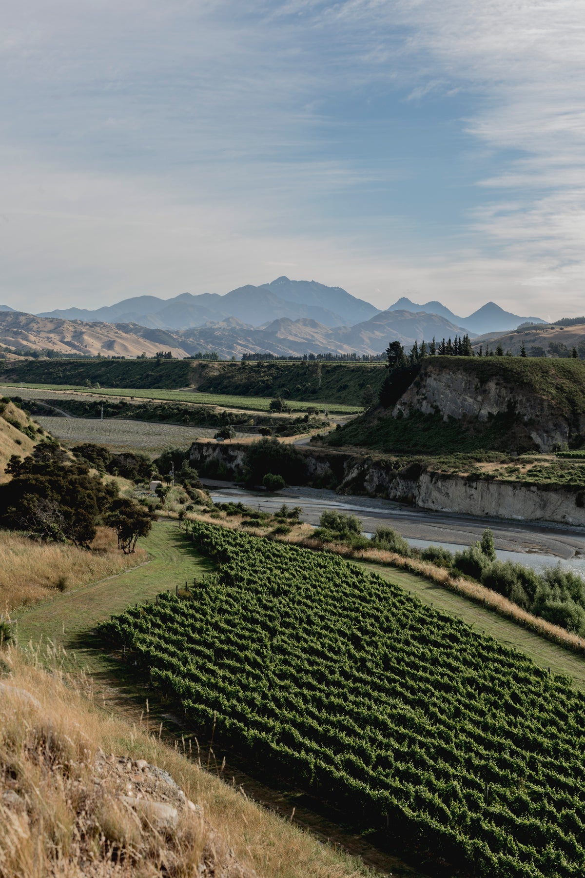 “When the apricot tree on the way to work is flowering, I know I’ve got a mon...